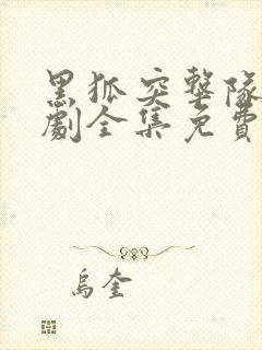 黑狐突击队电视剧全集免费观看封面