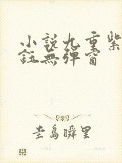 小说九重紫傅容钰无弹窗封面