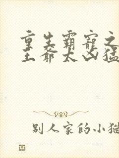 重生霸宠之摄政王爷太凶猛