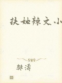 扶她辣文小说封面