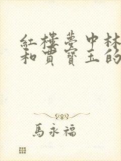 红楼梦中林黛玉和贾宝玉的关系