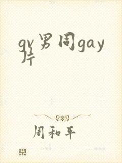 gv男同gay片