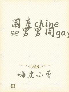 国产chinese男男同gaygay网站封面