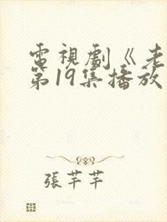 电视剧《老舅》第19集播放封面
