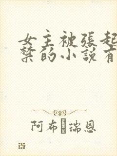女主被张起灵囚禁的小说有哪些