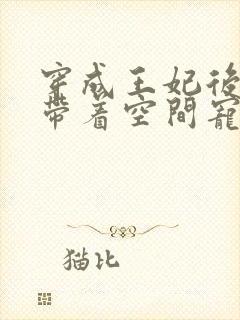 穿成王妃后,我带着空间宠王爷