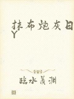 抹布炮灰日记BY