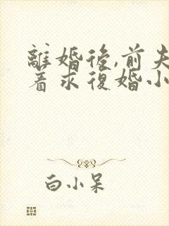 离婚后,前夫哭着求复婚小说免费阅读原文
