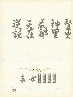 逆天成神贤君小说在那里更新