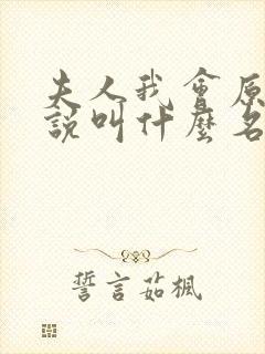 夫人我会原著小说叫什么名字来着