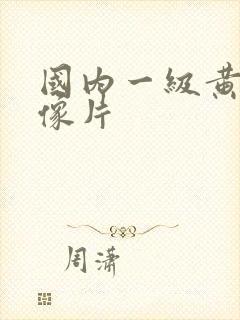 国内一级黄色录像片