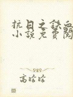 抗日之铁血八路小说免费阅读