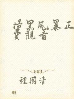 扫黑风暴正版免费观看封面