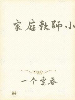 家庭教师小说