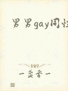 男男gay同性