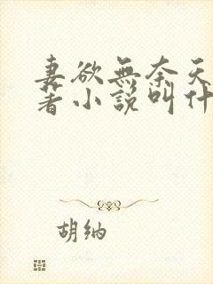 妻欲无奈天使原著小说叫什么名字