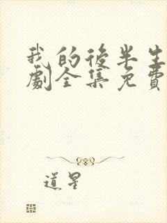 我的后半生电视剧全集免费播放高清版封面