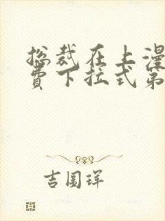 总裁在上漫画免费下拉式第