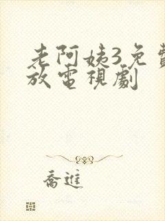老阿姨3免费播放电视剧封面
