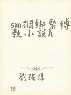 sm捆绑紧缚调教小说h