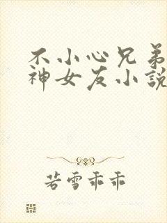 不小心兄弟的女神女友小说在线看封面
