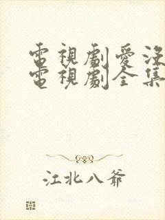 电视剧爱没有错电视剧全集免费观看封面