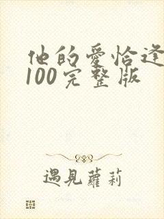 他的爱恰逢其时100完整版封面