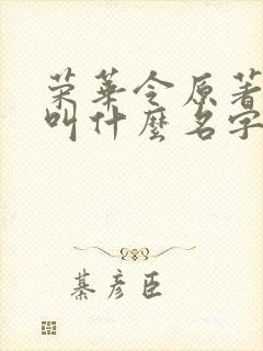 荣华令原著小说叫什么名字来着