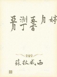 亚洲五月婷婷六月丁香封面