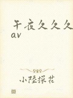 午夜久久久久久av