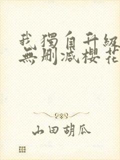我独自升级动漫无删减樱花