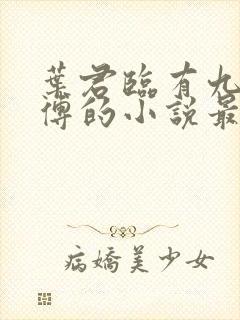 叶君临有九个师傅的小说最新章节