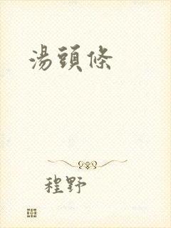 汤头条