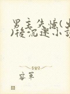 男主失忆(出轨)后沉迷小说