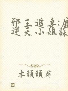 邪王追妻:废材逆天小姐苏落南宫流云