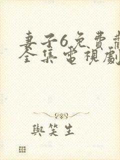 妻子6免费观看全集电视剧