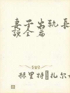 妻子出轨长篇小说全篇