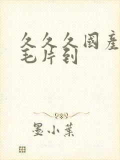 久久久国产精品毛片到