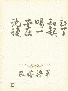 沈子畅和许言最后在一起了吗