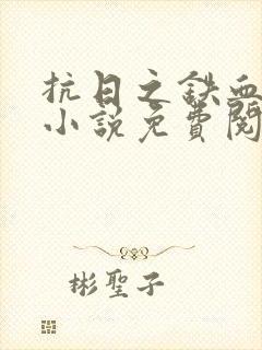 抗日之铁血使命小说免费阅读