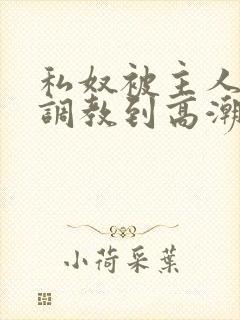 私奴被主人玩弄调教到高潮小说封面