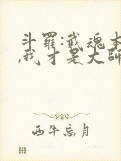 斗罗:武魂本体,我才是大师