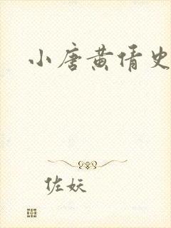 小唐黄倩史