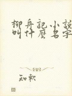 柳舟记小说原著叫什么名字