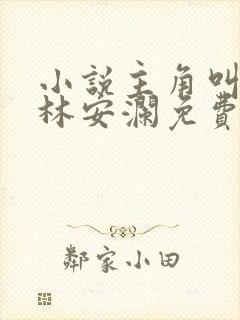 小说主角叫赵青林安澜免费阅读封面