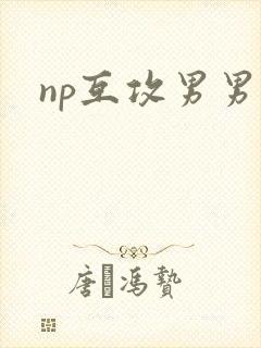 np互攻男男