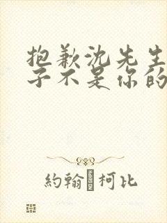 抱歉沈先生,孩子不是你的短剧