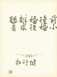 听离婚后前夫哭着求复婚小说