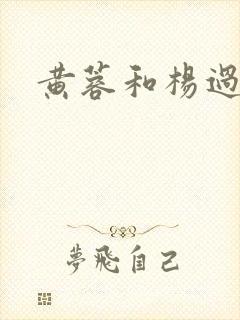 黄蓉和杨过性事