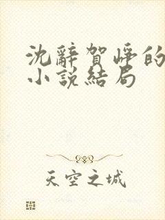 沈辞贺峥的军婚小说结局